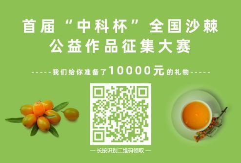 首届"中科杯"全国沙棘公益作品征集大赛