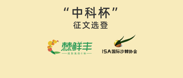 “中科杯”征文选登三